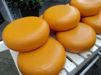Farmářský uzený sýr kolo (1,2 kg)